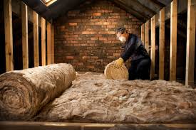 Eco-Friendly or Green Insulation Solutions in Labelle, FL